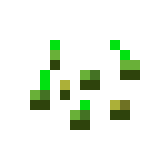 How To Add a Custom Seed to Your Minecraft Server logo